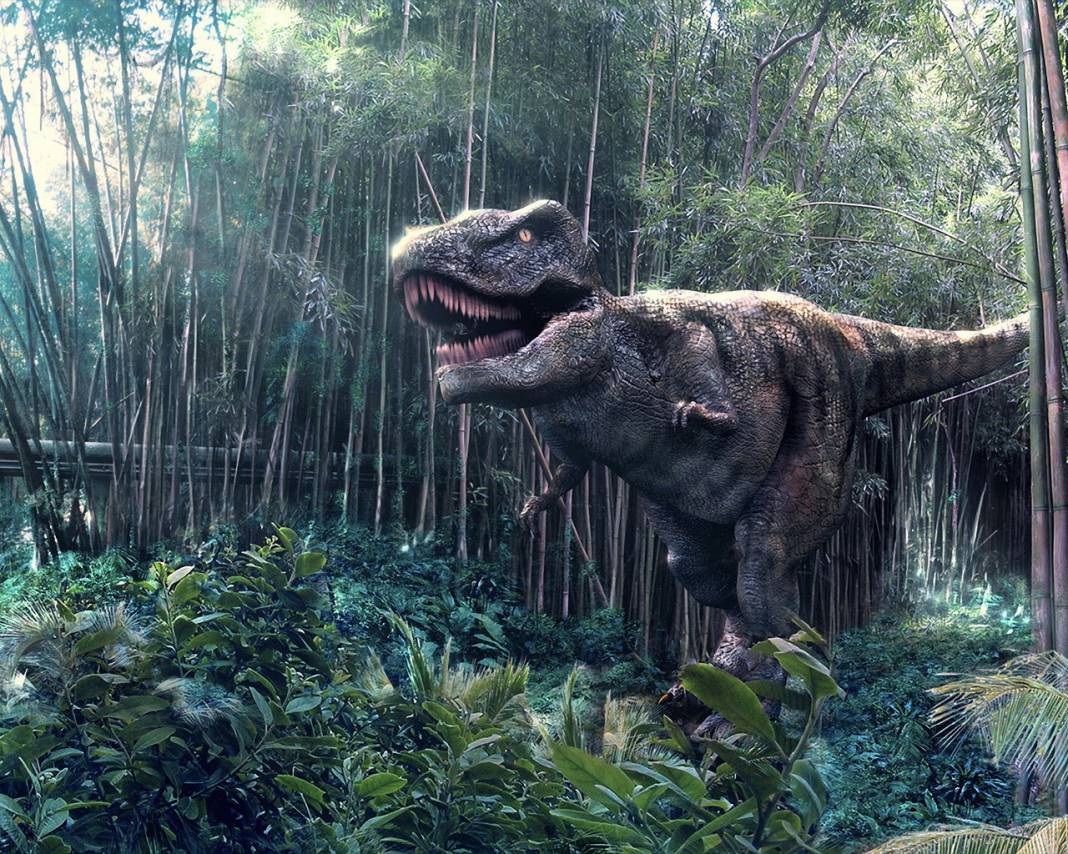 Dinozorlar geri mi dönüyor? Jurassic Park filmi gerçek mi oluyor 8